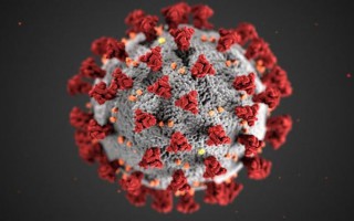 Giới khoa học Australia công bố những phát hiện mới về virus SARS-CoV-2